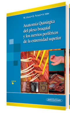 Anatomia quirurgica del plexo braquial y de los nervios perifericos de la extremidad superior - Llusa/Palazzi/Valer