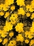 Tecido Jacquard Floral Preto Amarelo