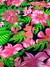 Tecido Gorgurinho Floral Tropical Rosa - comprar online