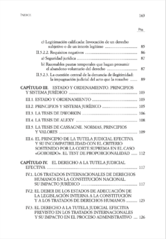 Nuevas fronteras de la tutela judicial efectiva - Marcial Pons Argentina