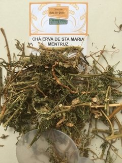 ERVA DE SANTA MARIA - MENTRUZ - 100g