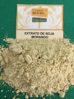 EXTRATO DE SOJA SABOR MORANGO - 100g