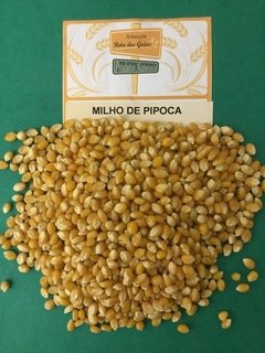 MILHO PARA PIPOCA - 100g