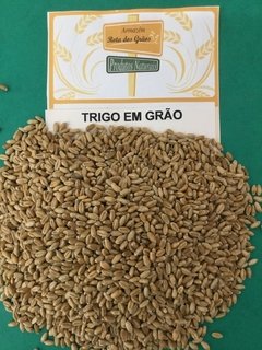 TRIGO EM GRÃO - 100g