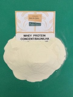 WHEY PROTEIN CONCENTRADO BAUNILHA - 100g