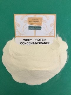 WHEY PROTEIN CONCENTRADO MORANGO - 100g