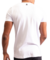 Camiseta Slim Cotton Logo Arqueado CS51 - comprar online