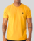 Camiseta Regular Heavy Premium APOPSSS - Mostarda CR18 - loja online