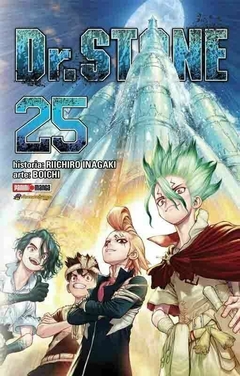 DR. STONE 25