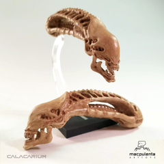 CALACA ALIEN XENOMORPH (MINI) - tienda online