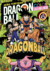 DRAGON BALL COLOR: SAGA MAJINBOO 06