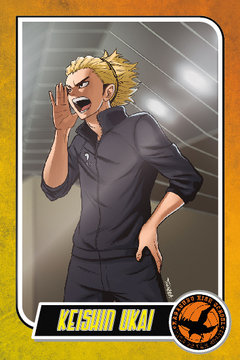 TRADING CARD HAIKYU !! SET 03 en internet