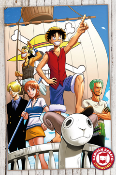 ONE PIECE 72 en internet