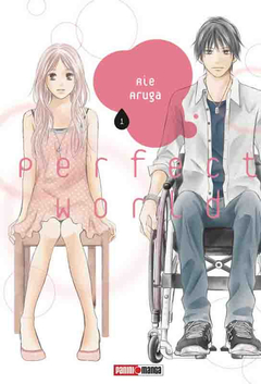 PERFECT WORLD 01