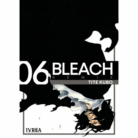Bleach Remix 06