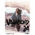 Vagabond 34