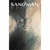 Sandman Completo Vol. 1 al 10 + Cazadores de Sueños (ECC Sudamerica)