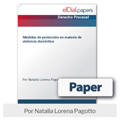 Paper: Medidas de protección en materia de violencia doméstica