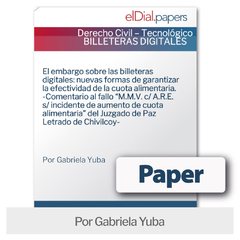 Paper: El embargo sobre las billeteras digitales: nuevas formas de garantizar la efectividad de la cuota alimentaria.