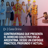 Curso online: Controversias que presenta el Derecho Colectivo en la Argentina, desde un enfoque práctico, profundo y actual.