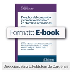 E book: Derechos del consumidor y comercio electrónico en el ámbito internacional