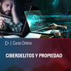 Curso Online: Ciberdelitos y propiedad