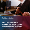 Curso online: Los lineamientos constitucionales del enjuiciamiento penal.