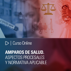 Curso Online: Amparos de salud. Aspectos procesales y normativa aplicable, Medidas cautelares. Derecho de salud: Fundamentos constitucionales