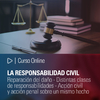 Curso Online: La Responsabilidad Civil. Reparación del daño. Distintas clases de responsabilidades. Acción civil y acción penal sobre un mismo hecho.