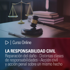 Curso Online: La Responsabilidad Civil. Reparación del daño. Distintas clases de responsabilidades. Acción civil y acción penal sobre un mismo hecho.