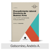 Libro: Procedimiento laboral Provincia de Buenos Aires (ley 15.057)