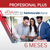 Suscripción al plan PROFESIONAL PLUS HAMMURABI DIGITAL (6 meses)