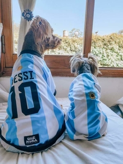 Camiseta seleccion argentina ¡Messi! en internet