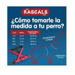 Pretal arnés acolchonado M/L Rascals - tienda online