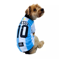 Camiseta seleccion argentina ¡Messi! - comprar online