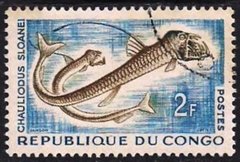 22726 ...... CONGO - PEIXE CHAULIODUS SLOANEI - 2 F.