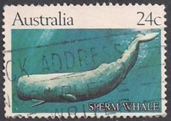 23090 AUSTRALIA - SPERM WHALE