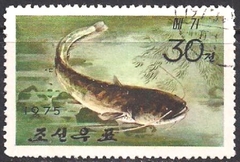 23515      CHINA  -   PEIXE  -  30