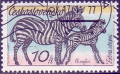 24881             CHECOSLOVAQUIA      -       ZEBRAS     -    10  h.  -    1977  -   USADO