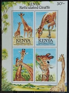 26592 - KENYA - RETICULATED GIRAFFE_12