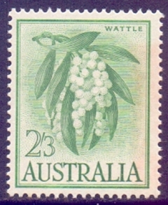 32162 ..... AUSTRALIA - FLOR WATTLE - 2'3 - NOVO