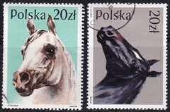 32670 ..... POLONIA - CAVALOS DE RAÇA - 1989 - USADO