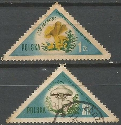 34693 POLONIA - TRIANGULAR FLORES