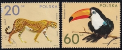 37131 ..... POLONIA - ANIMAIS SELVAGENS - 1972 - USADO