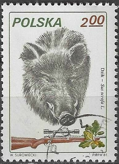 38113 POLONIA - CAÇA JAVALI 1981