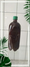 1 litro Ayahuasca Pura Banisteriopsis caapi (Jagube) + Chacrona (Rainha) Graduação 10/1