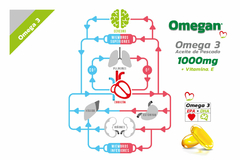 Omega 3 Alioth 30 Caps Omegan + Vitamina E + DHA + EPA - comprar online