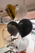 Imagen de KIT GLOBOS / SET DE GLOBOS Set de globos premium apto helio