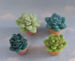 Apliques /imán 10 souvenirs cactus suculentas porcelana fría - comprar online