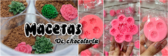 Banner de la categoría macetas de chocotorta 